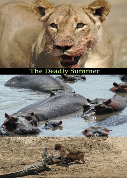 Deadly Summer (2006) poster