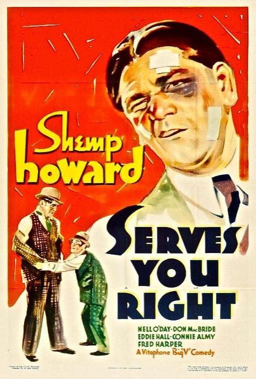 Serves You Right (1935) poster