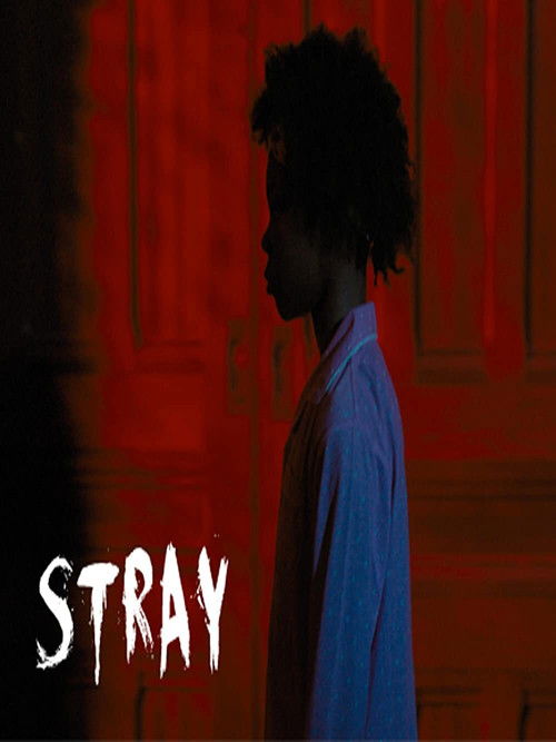 Stray (2020) poster