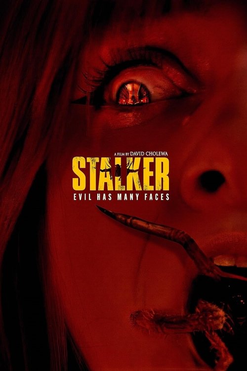 Stalker (2025) poster