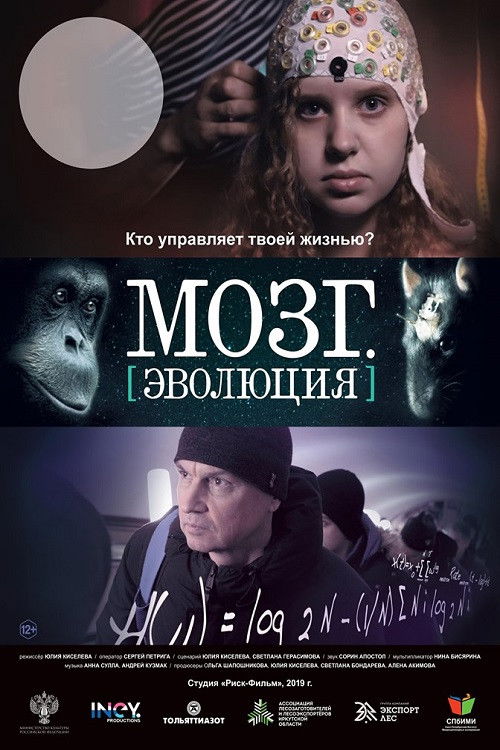 Brain. Evolution (2019) poster