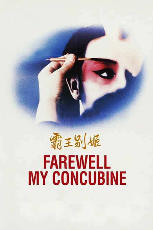 Elveda Cariyem (1993) poster