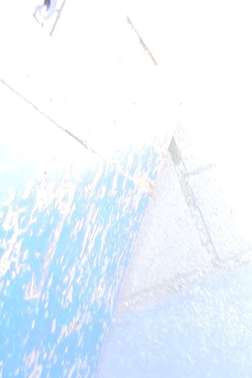 disruption (2017) poster