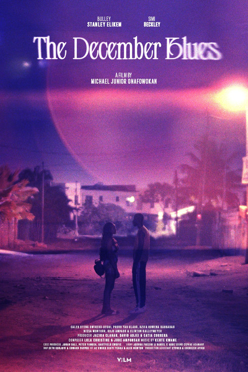 The December Blues (2025) poster