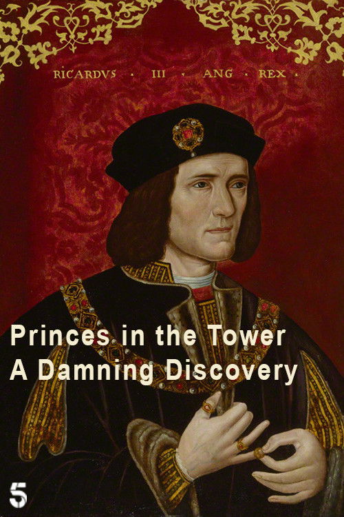 Princes in the Tower: A Damning Discovery (2024) poster