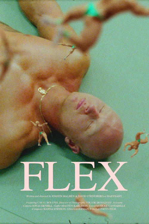 Flex (2020) poster