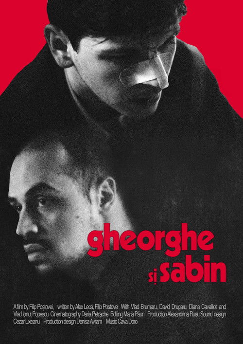 Gheorghe și Sabin (2025) poster