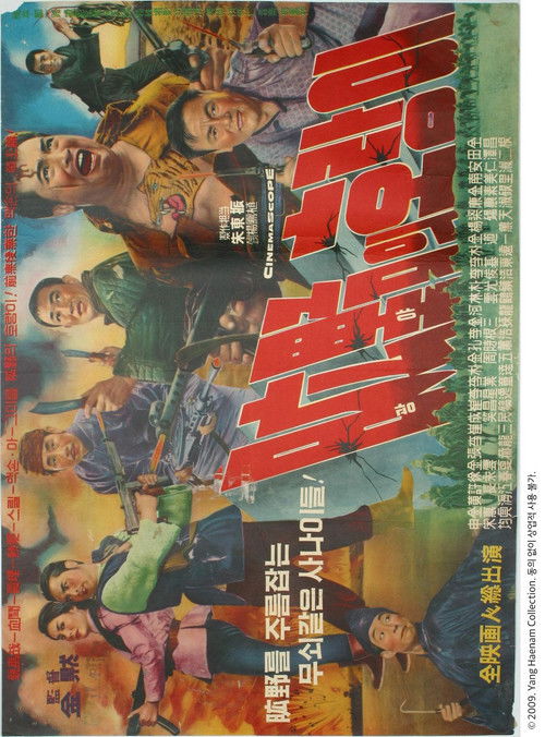 Tiger of the Plains (1965) poster