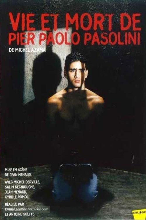 Vie et mort de Pier Paolo Pasolini (2004) poster