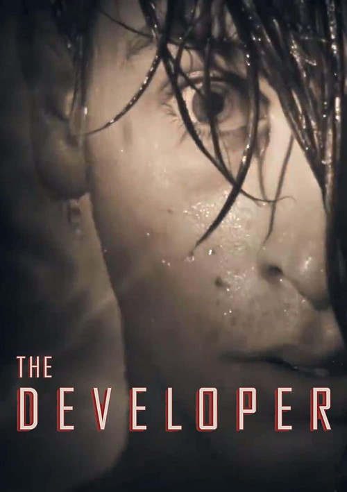 The Developer (2013) poster