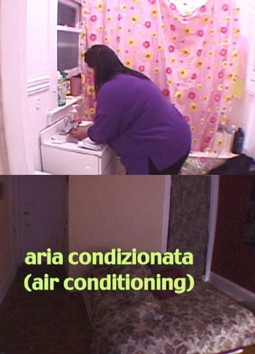 Air Conditioning (2005) poster