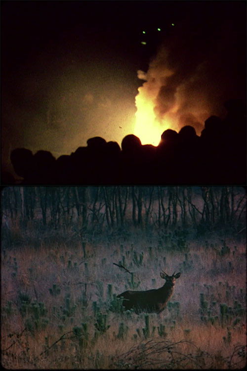 Après le volcan (2016) poster