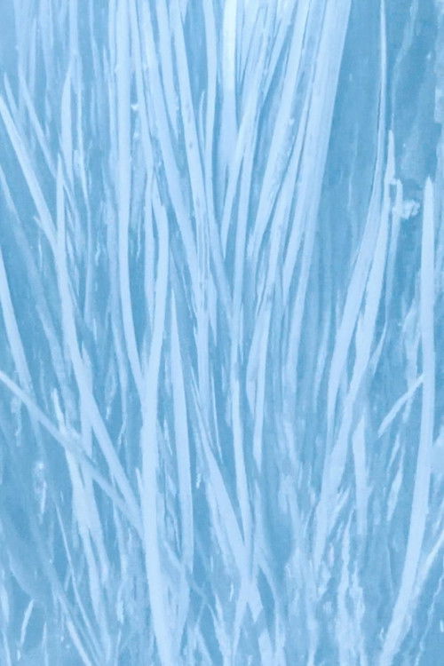 Our Watery Selves (2023) poster