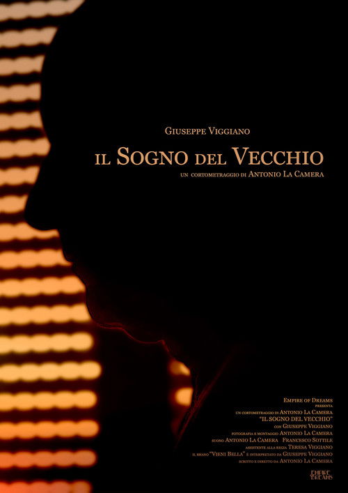 Il Sogno del Vecchio (2016) poster