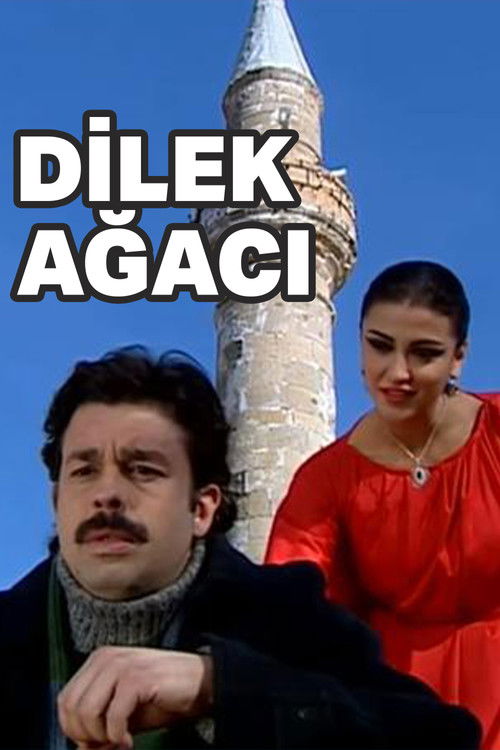 Dilek Ağacı (2008) poster