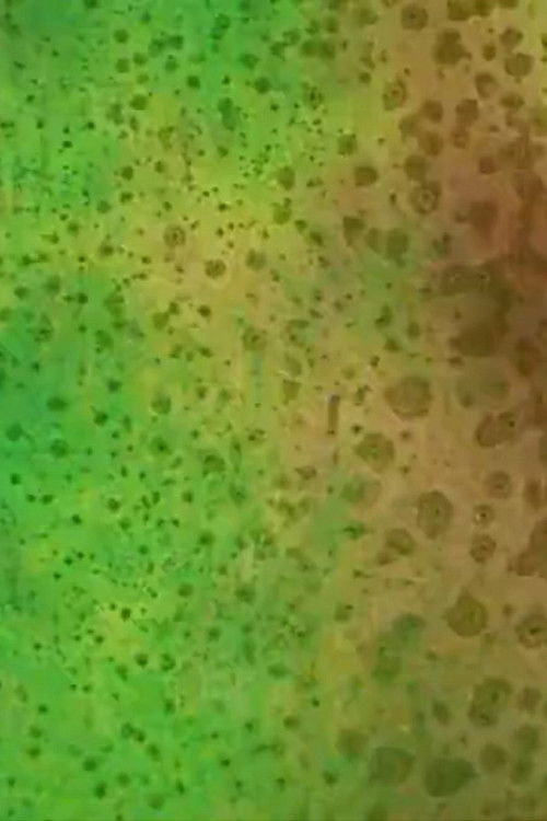 Blue Moon (1988) poster