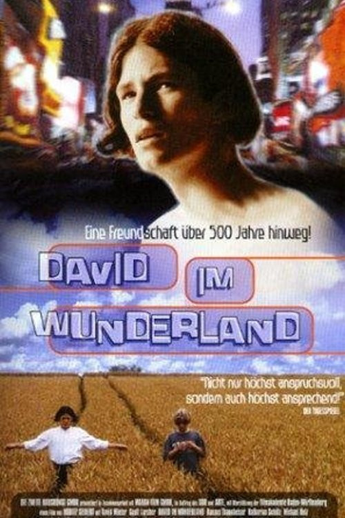 David im Wunderland (1998) poster