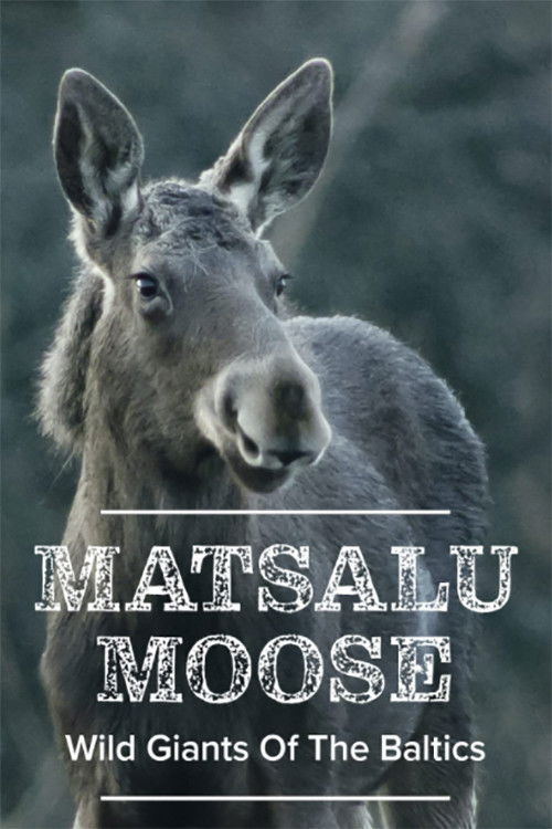Matsalu Moose: Wild Giants of the Baltics (2019) poster