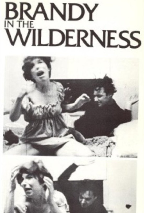 Brandy in the Wilderness (1969) poster