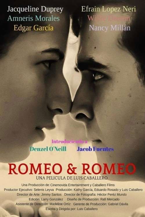 Romeo y Romeo (2015) poster