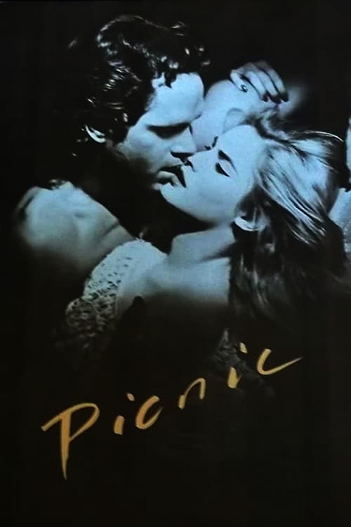 Picnic (1986) poster