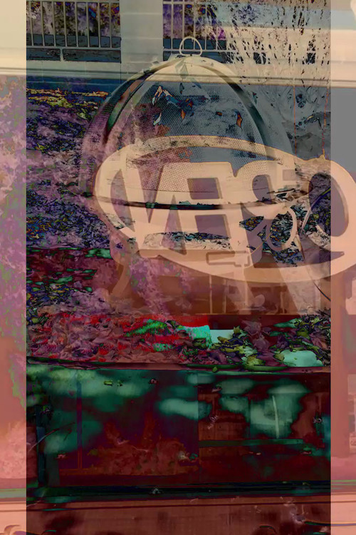 Questioning, Requesting (2017) poster