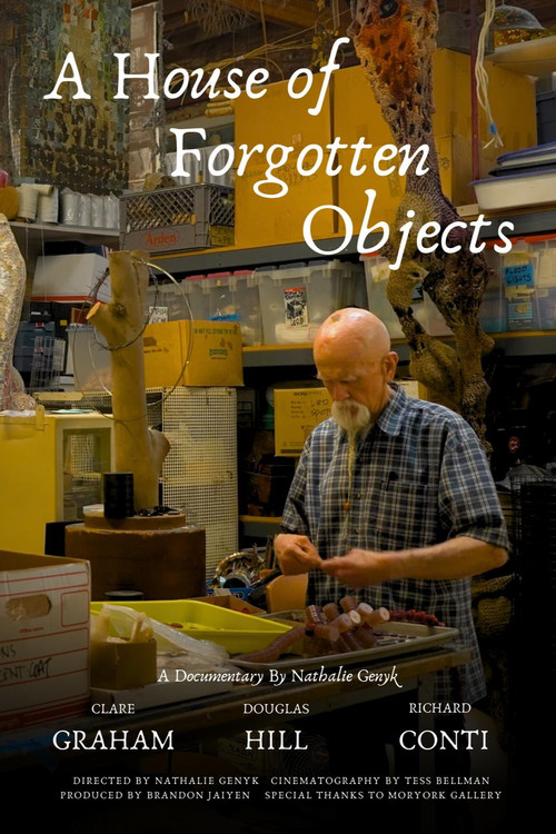 A House of Forgotten Objects (2025) poster