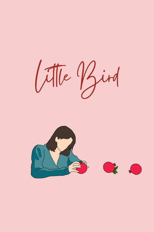 Little Bird (2024) poster