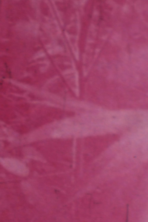 Ornamentals (1979) poster