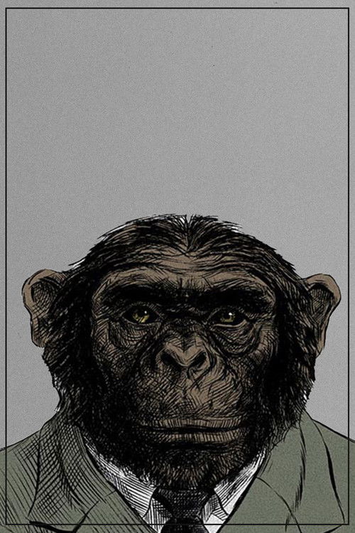 From the Big Bang to Tuesday Morning (2000) poster