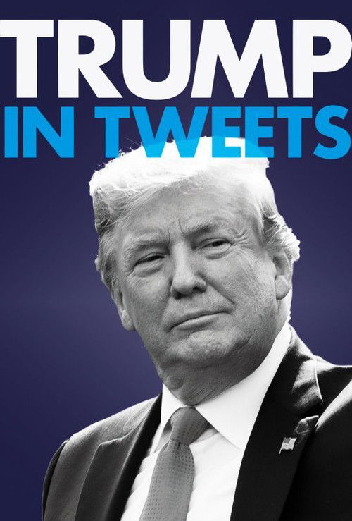 Trump in Tweets (2020) poster