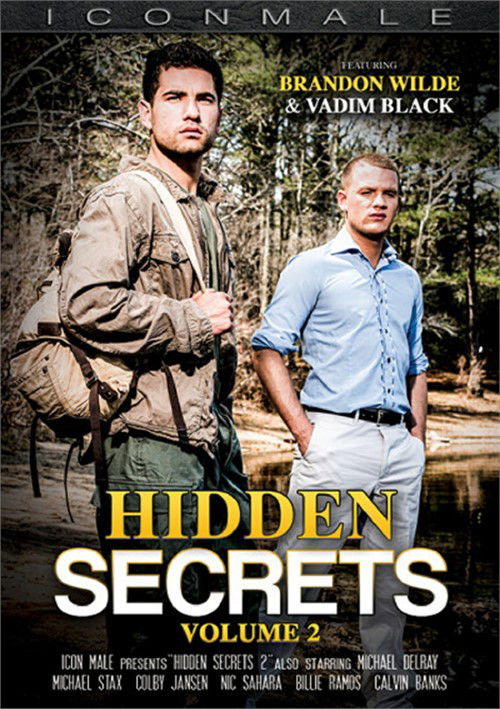 Hidden Secrets 2 (2025) poster