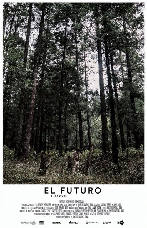 The Future (2018) poster