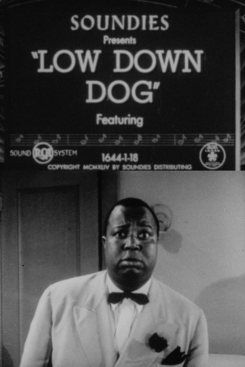 Low Down Dog (1944) poster