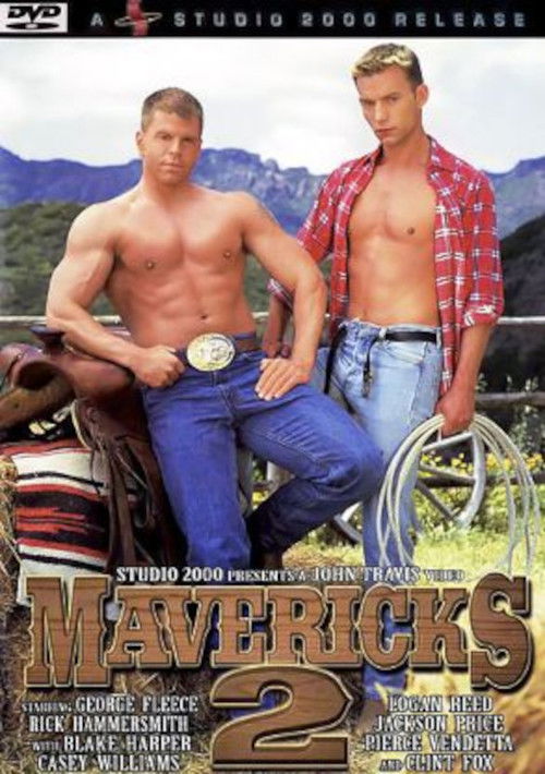 Mavericks 2 (2000) poster