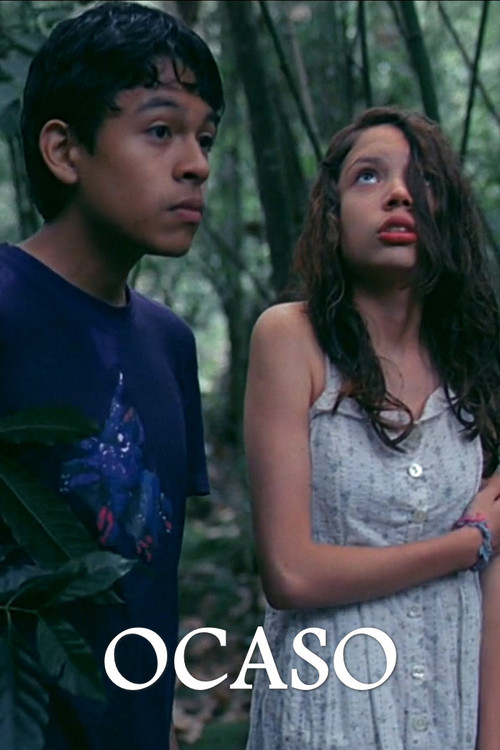 Ocaso (2014) poster