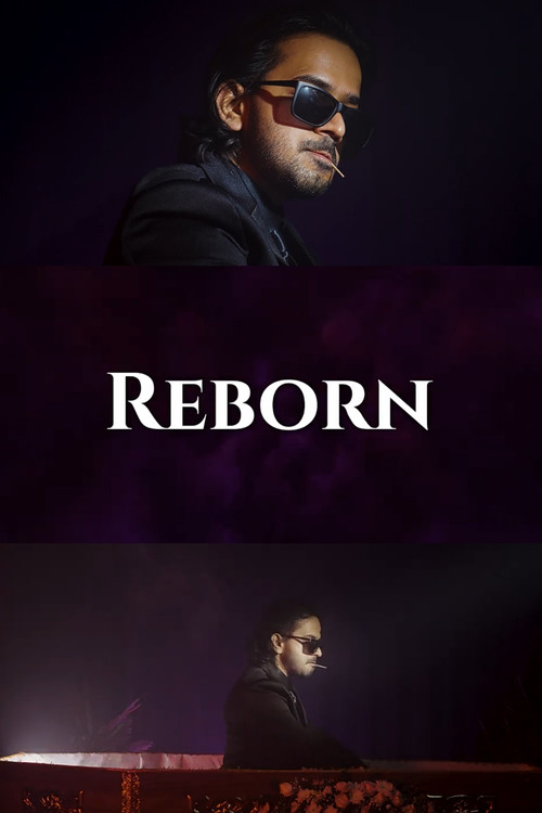 REBORN (2024) poster