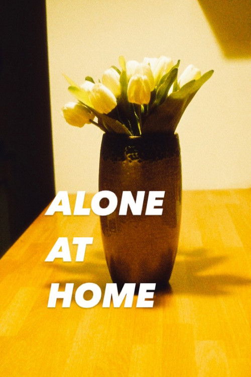 Alone at Home (2024) poster