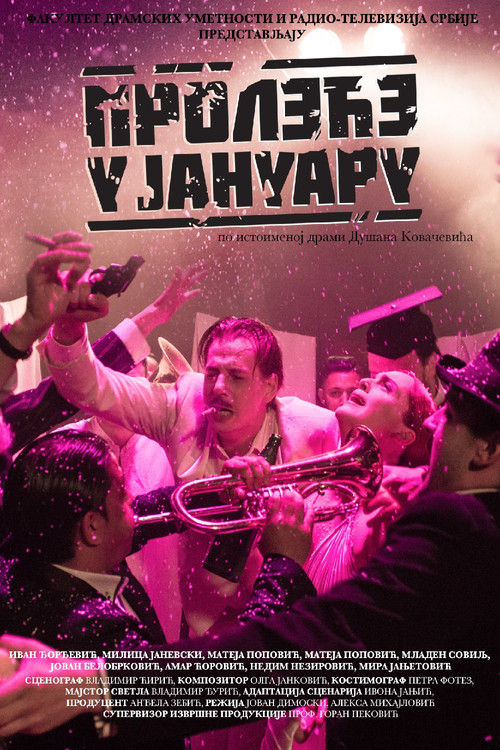 Spring in January (2019) poster