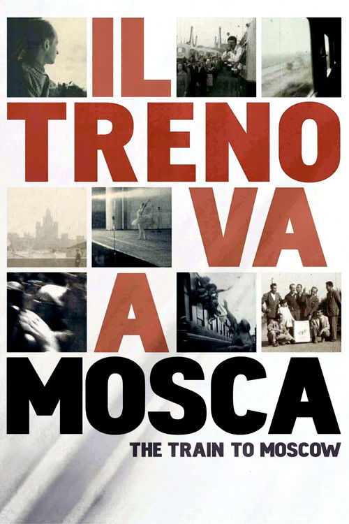 The Train to Moscow (2013) poster