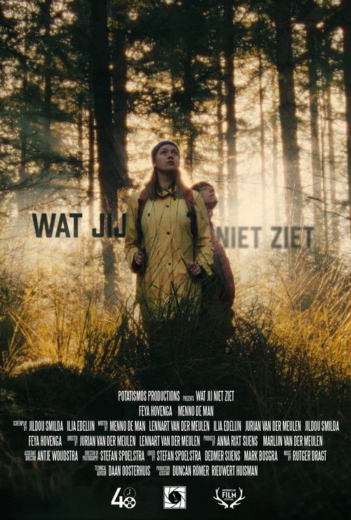 wat jij niet ziet (2021) poster