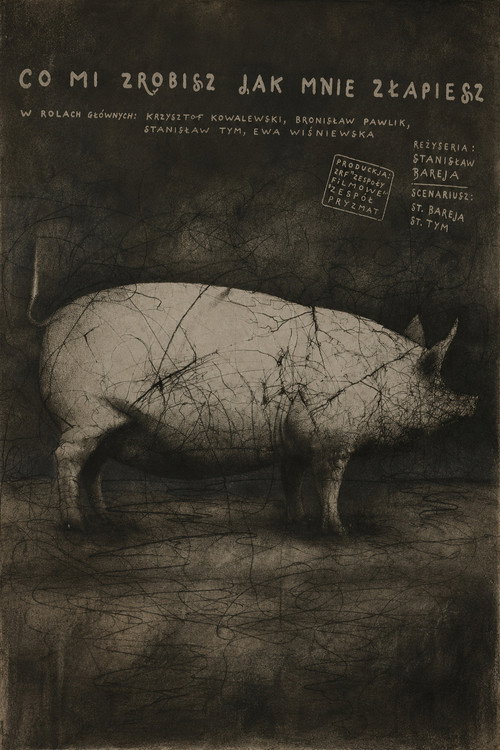 Co mi zrobisz, jak mnie złapiesz (1978) poster