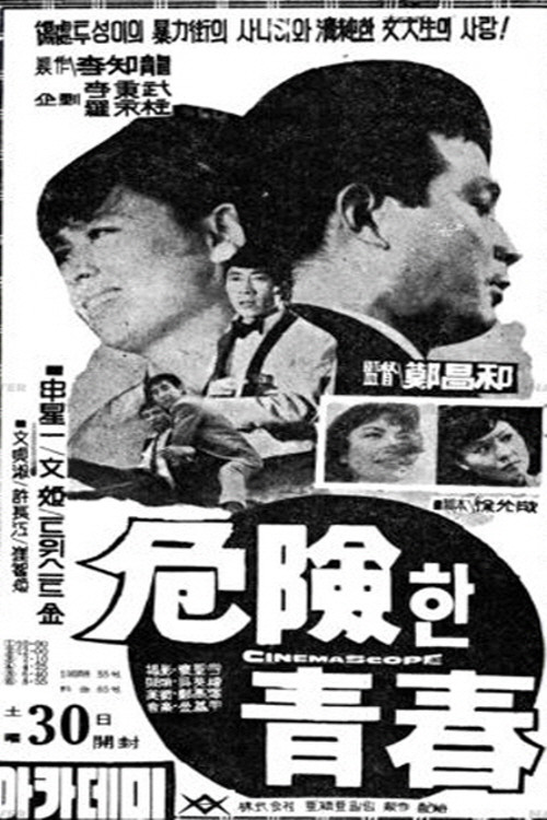 위험한 청춘 (1966) poster
