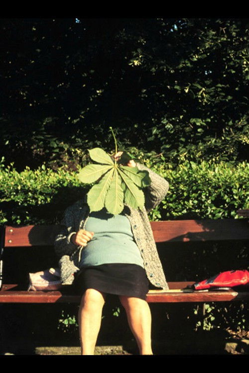 Past Perfect (2002) poster