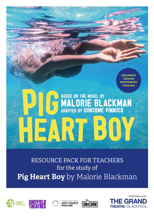 Pig Heart Boy (1999) poster