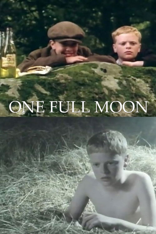 One Full Moon (1991) poster