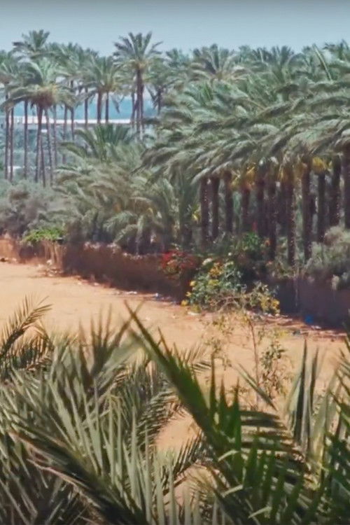 Electrical Gaza (2015) poster