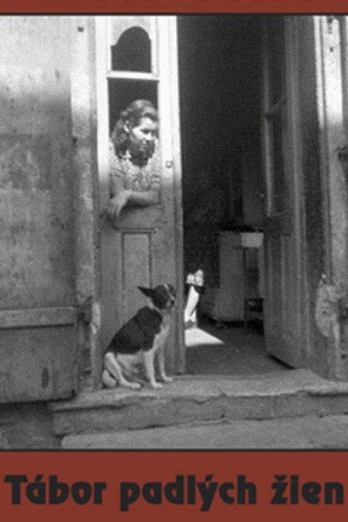 Camp of Fallen Women (1997) poster