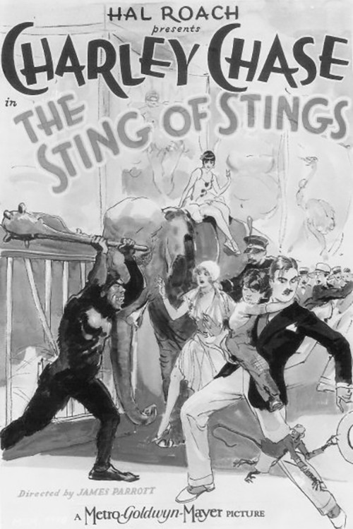 The Sting of Stings (1927) poster