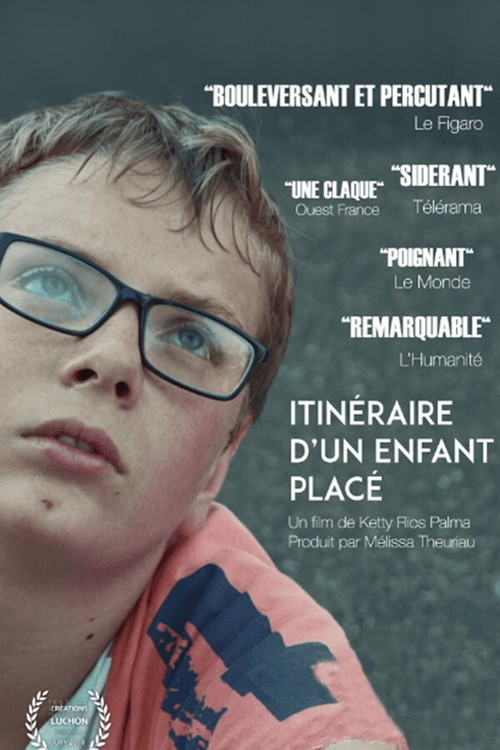 Itinéraire d'un enfant placé (2017) poster